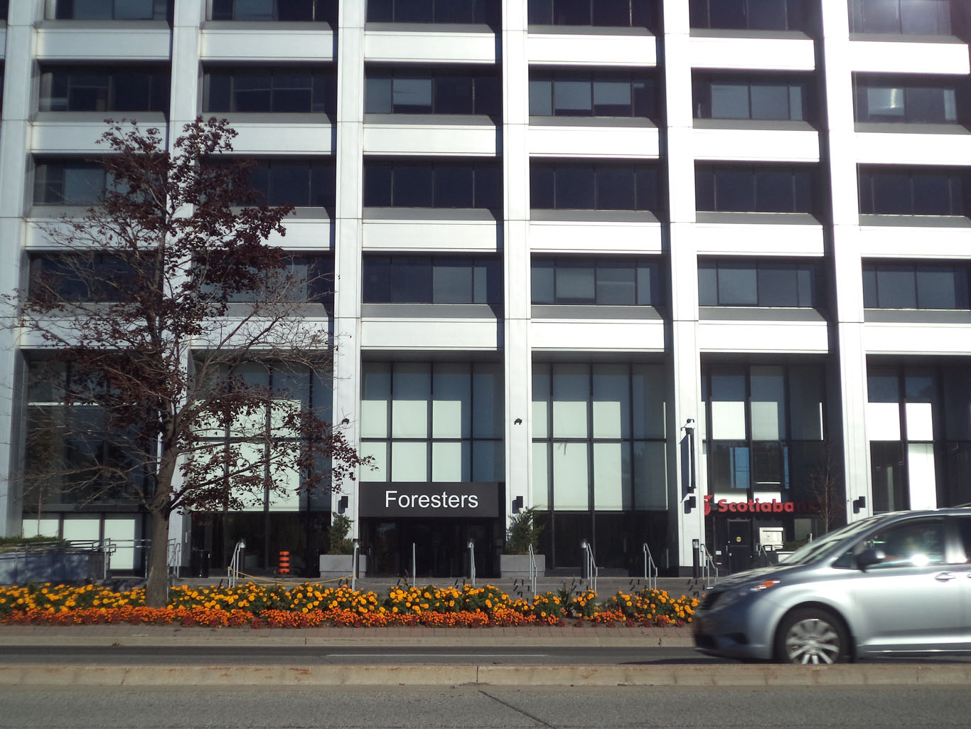 Maximus Canada - Toronto